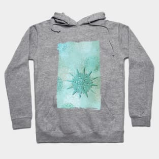 diamond dust Hoodie